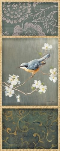 Nuthatch von Danhui Nai