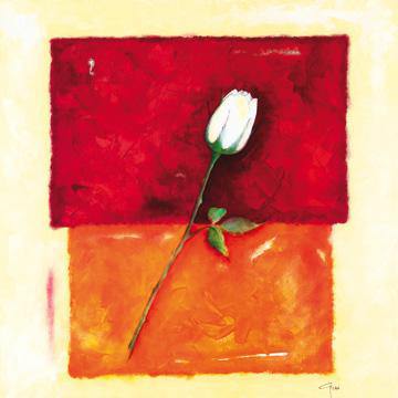 Single Rose von Günter Gohn