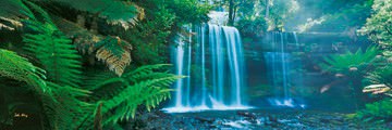 Russel Falls I von John Xiong