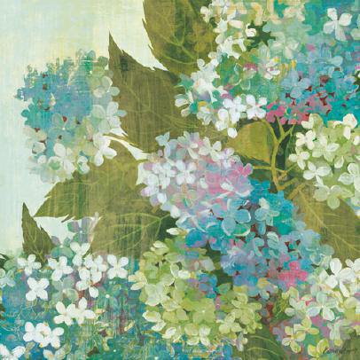 Grandiflora Bloom von Kathrine Lovell