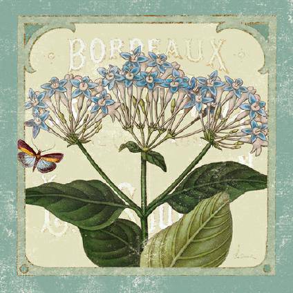 Parisian Flower I von Sue Schlabach