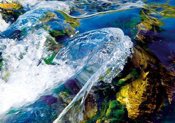 Liquids 8 von Ortwin Klipp