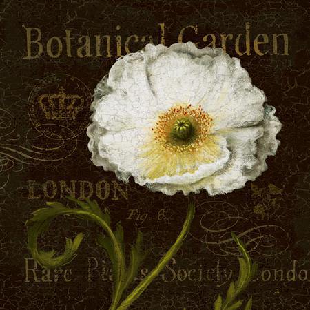 Botanical Garden II von Daphne Brissonnet