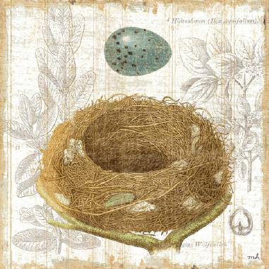 Botanical Nest III von Moira Hershey