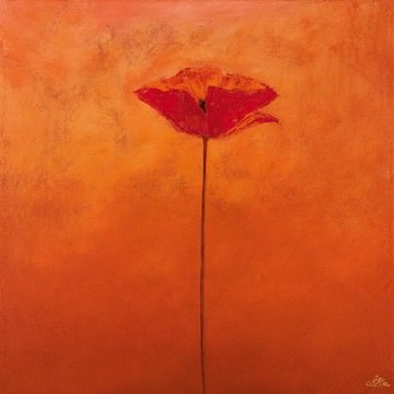 Poppy Elegance I von Erika Heinemann