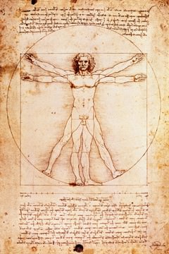 Proportionszeichnung nach Vitruv von Leonardo Da Vinci