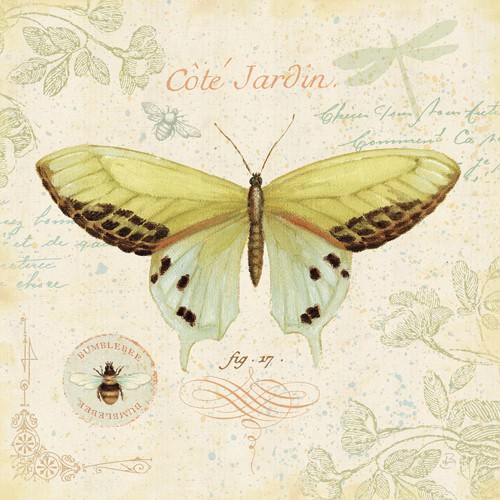 Cote Jardin II von Daphne Brissonnet