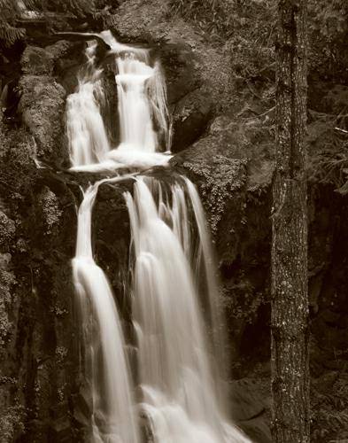 Kentucky Falls von Alan Majchrowicz