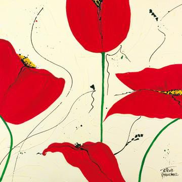 Mohn von Sylvia Haigermoser
