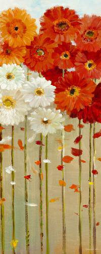 Daisies Fall II von Danhui Nai
