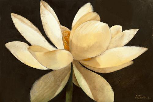 Unfolding von Albena Hristova