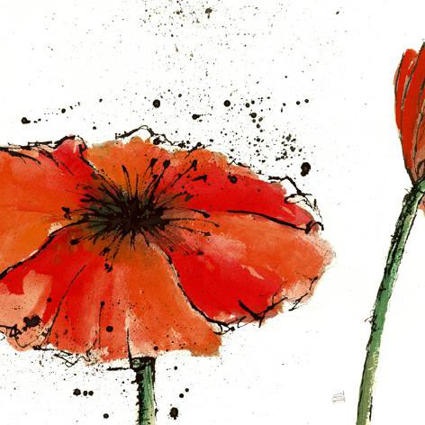 Not a California Poppy III on White von Chris Paschke
