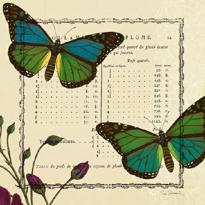 Summer Pages IV von Sue Schlabach