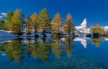 Matterhorn with Larches I von Thomas Marent