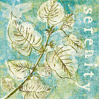 Spring Renewal III von Lisa Petty
