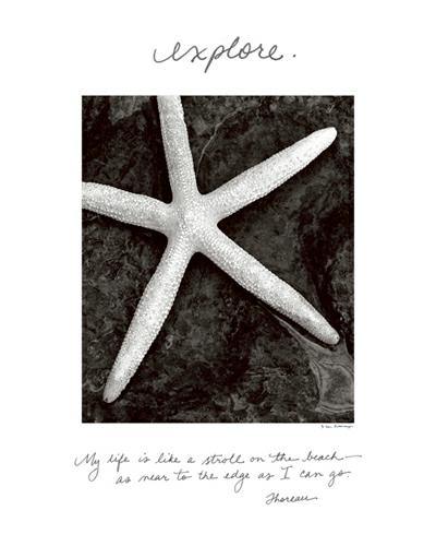 Explore von Debra Van Swearingen