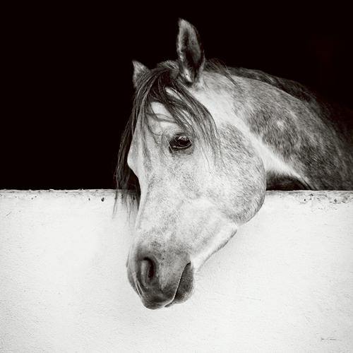 Lonesome Gray von Lisa Cueman