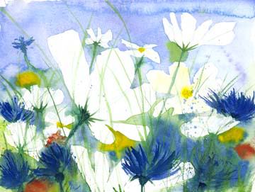 Weisse Cosmea und Kornblumen von Dieter Hecht