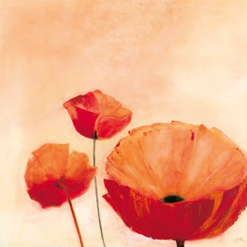 Poppy Queen von Erika Heinemann