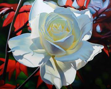 Summer's Last Rose von Michael Schuh
