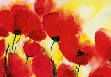 Roter Mohn Toskana von Heidi Reil