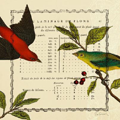 Summer Pages I von Sue Schlabach