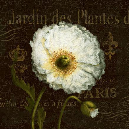 Botanical Garden I von Daphne Brissonnet