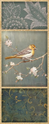 Northern Oriole von Danhui Nai