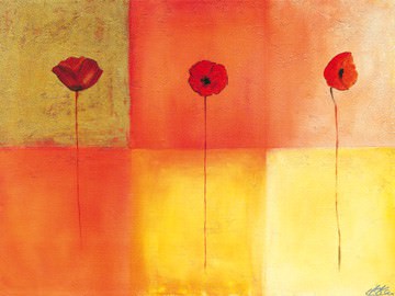 Dreierlei Mohn I von Erika Heinemann