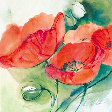Mohnblüten von Marta Peuckert