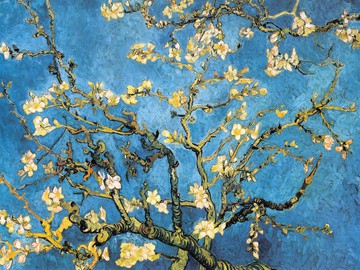 Mandelbaumzweig von Vincent Van Gogh