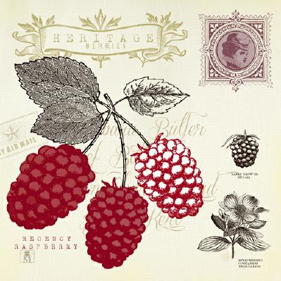 Raspberry Notes von Studio Mosseau
