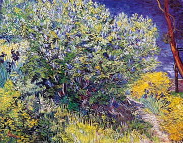 Strohdachhäuser von Vincent Van Gogh