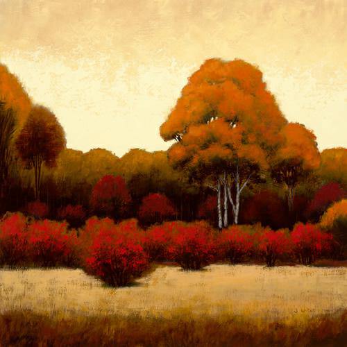 Autumn Forest I von James Wiens