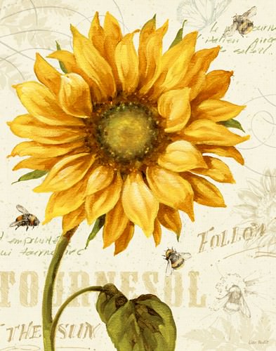 Under the Sun I von Lisa Audit