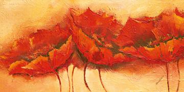 Wilder Mohn von Elena Filatov