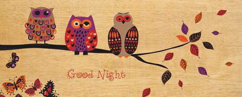 Good Night Owl von Wild Apple Portfolio