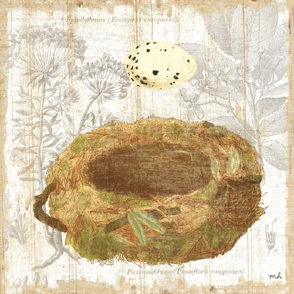 Botanical Nest I von Moira Hershey