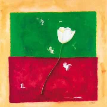Single Tulip von Günter Gohn