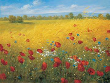 Sparkling field I von Heinz Schölnhammer