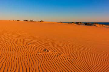Myall Lakes Dunes von John Xiong