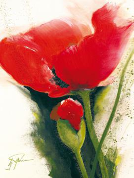Faszination Mohn II von Gerd Pflumm