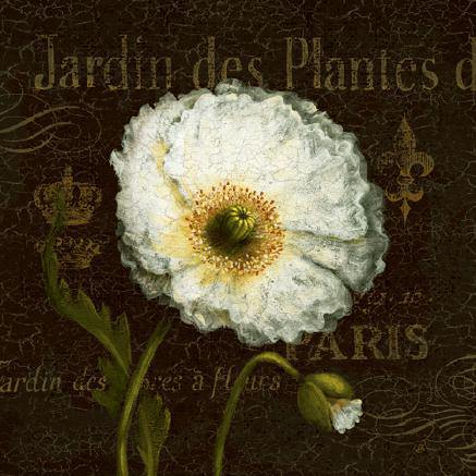 Botanical Garden I von Daphne Brissonnet
