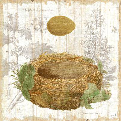 Botanical Nest IV von Moira Hershey