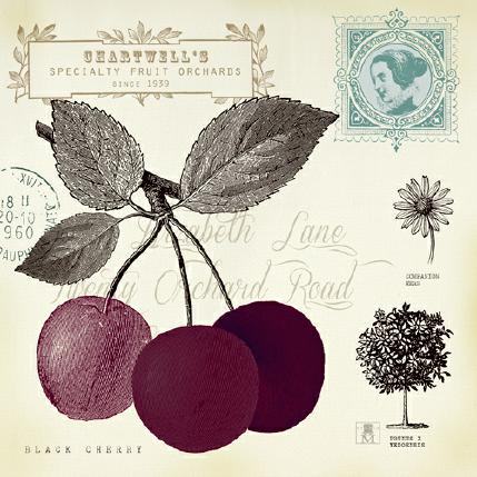 Cherry Notes von Studio Mosseau