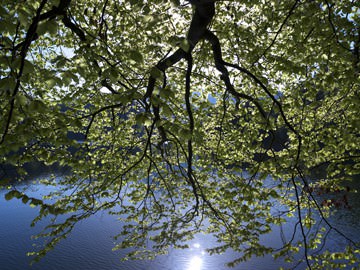 Sommerreflektionen von Micha Pawlitzki