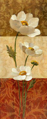 Anemone and Squares von Silvia Vassileva