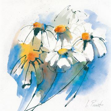 Margeriten von Marta Peuckert