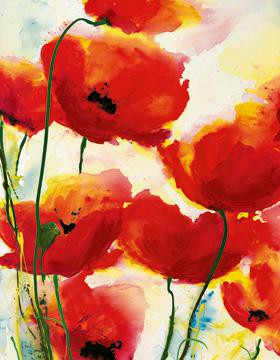 Roter Mohn von Heidi Reil