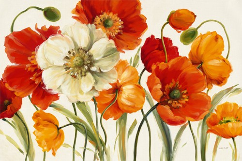 Poppies Melody I von Lisa Audit